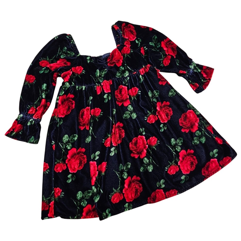 Janie and Jack Dress Kids 3 Navy Blue Velvet Red Rose Floral Holiday Party